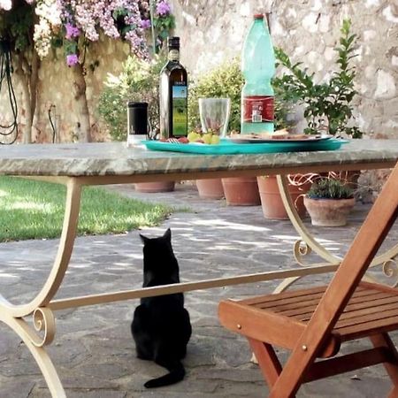 Home Garden Grosseto Zewnętrze zdjęcie
