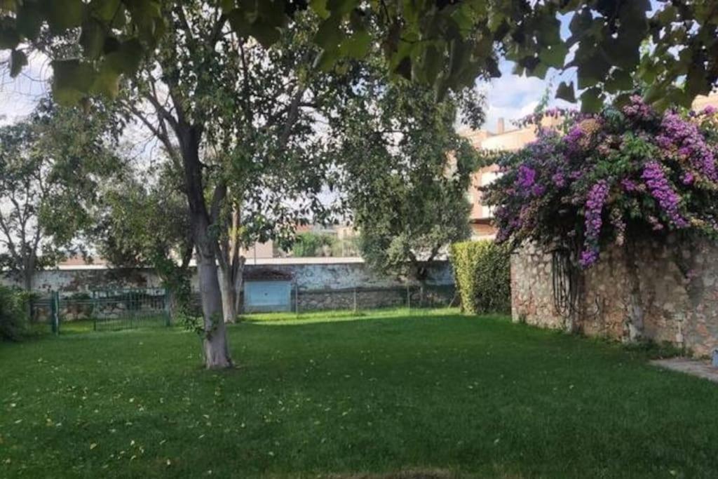 Home Garden Grosseto Zewnętrze zdjęcie