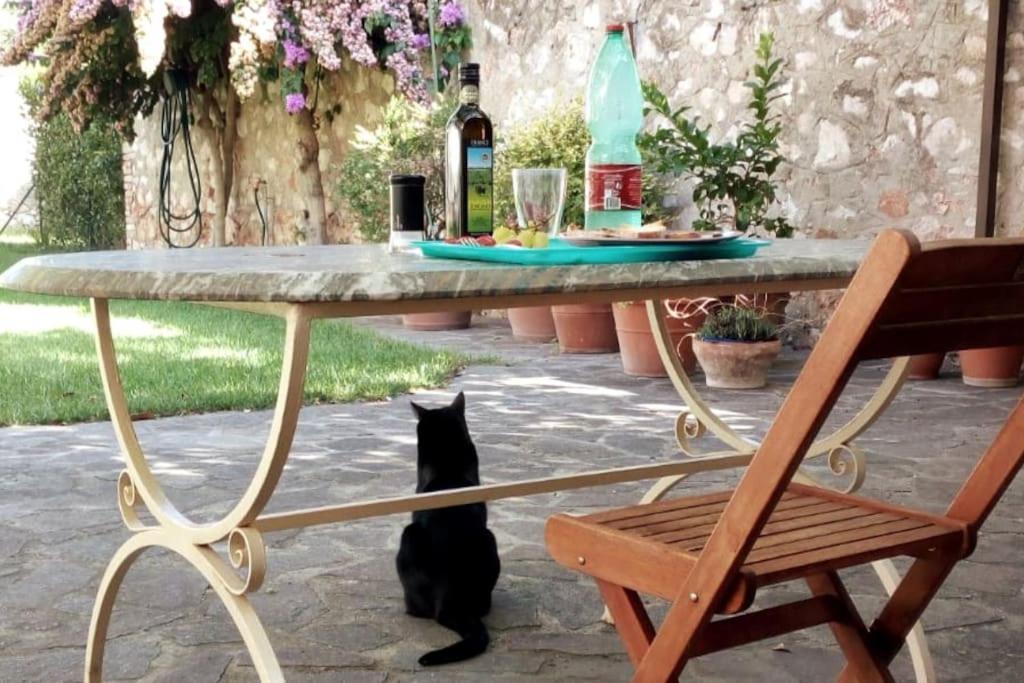 Home Garden Grosseto Zewnętrze zdjęcie