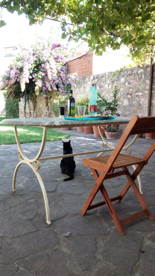 Home Garden Grosseto Zewnętrze zdjęcie